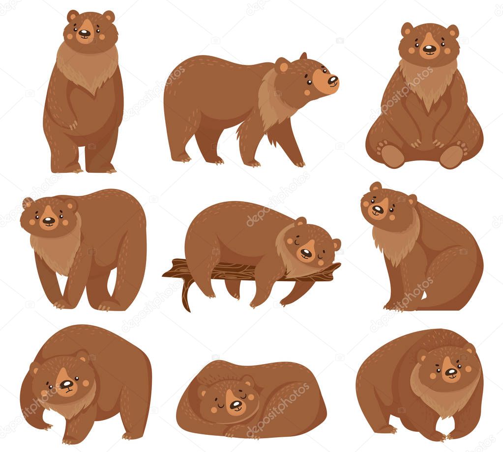 Vettoriale stockOrso bruno del fumetto. Orsi grizzly, animali selvatici  predatori della foresta naturale e orso seduto isolato illustrazione  vettoriale di ©tartila.stock.gmail.com #279457124, image size:1023x921