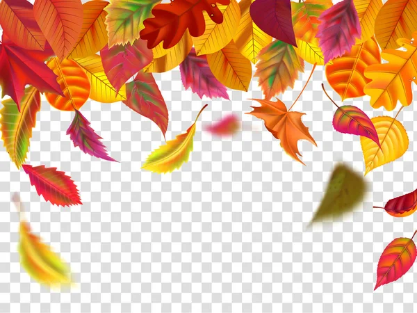 As folhas de outono caem. Folha borrada caindo, queda de folhagem outonal e vento sobe folhas amarelas ilustração vetorial isolado — Vetor de Stock