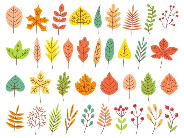 Foglie d'autunno. Foglia da giardino autunnale gialla, foglia rossa autunnale e foglie secche cadute set vettore piatto — Vettoriale Stock