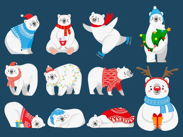 Osos polares de Navidad. Oso ártico con regalos de Año Nuevo, animal de nieve feliz en Feliz Navidad suéter de dibujos animados vector ilustración conjunto — Archivo Imágenes Vectoriales