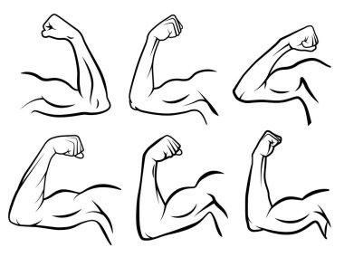 Powerful hand muscle. Strong arm muscles, hard biceps and hands strength outline vector illustration set clipart