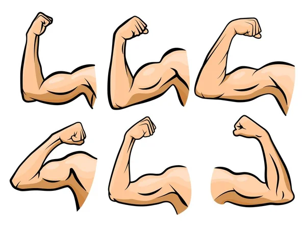 卡通手肌肉。强壮的手臂，拳击手手臂肌肉和力量手硬健身房矢量插图集 — 图库矢量图片