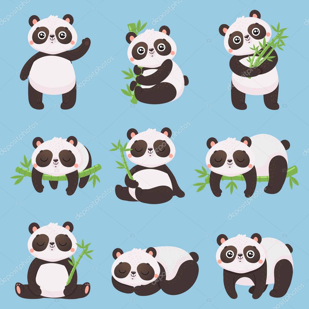 Cartoon panda kids. Little pandas, funny animals with bamboo and cute sleeping panda bear vector illustration set