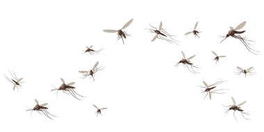 Uçan sivrisinek böcekleri. Gnat ve pest, yayılan virüsler ve hastalıklar, sivrisinekler sürü halinde, itici veya sprey reklam poster konsepti