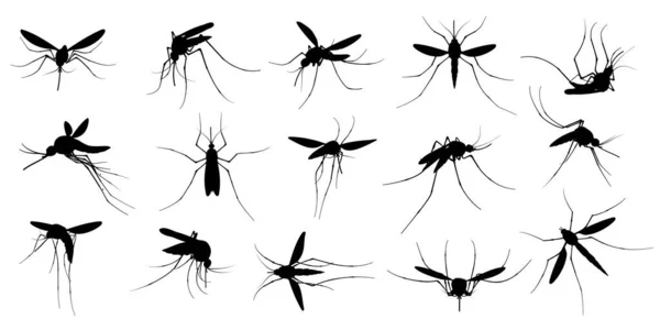 Silueta komára. Létající komáři, roj hmyzu šířící nemoci, nebezpečné infekce a viry, malárie a dengue. Vektoroví komáři — Stockový vektor