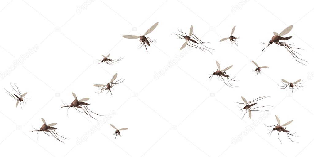 Flying mosquito insects. Gnat and pest, spreading viruses and diseases, gnats flock, repellent or spray promo poster vector concept