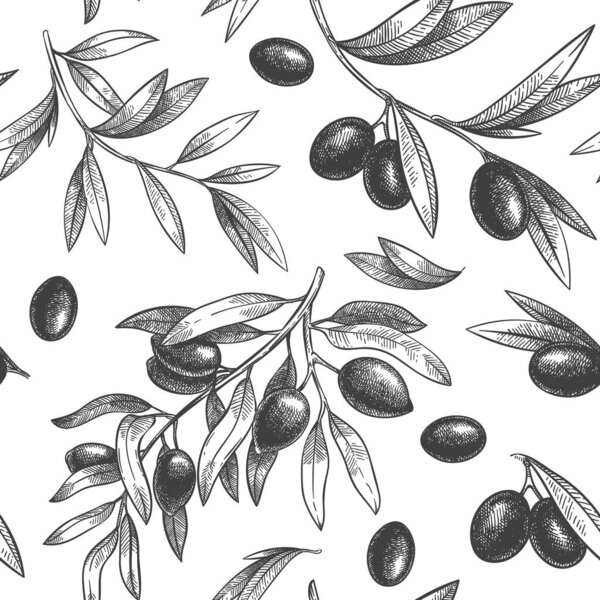 Бесшовный черный оливковый узор. Греческие оливки на ветвях с листьями, векторная иллюстрация ручной работы
