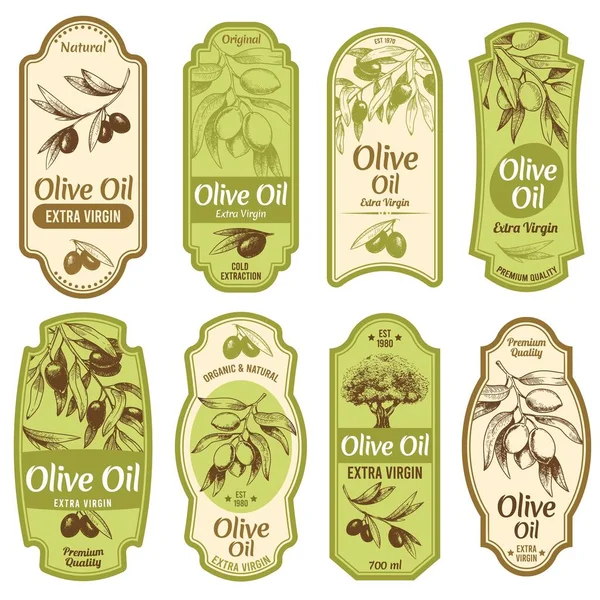 Etiqueta aceite de oliva. Aceites vírgenes extra premium, aceitunas negras en ramas con hojas y boceto de olivo dibujado a mano set de ilustración vectorial — Vector de stock