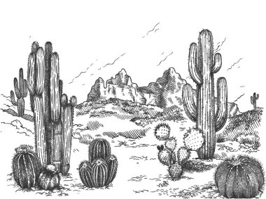 Desert landscape. Hand drawn mexican prairie with plants and blooming cactuses, prickly succulents nature wild west sketch vector background clipart