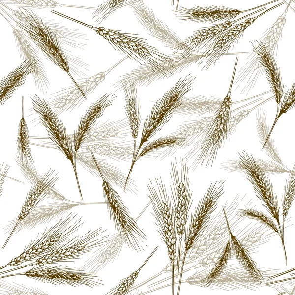 シームレス小麦の耳のパターン。パンの粒、手描きのパンの耳とパンの穀物のベクトル図セット — ストックベクタ