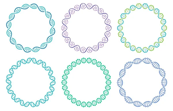 DNA spiral frame set. Human genome helix isolated on white background. Genetic concept for science or medicine — Stock Vector