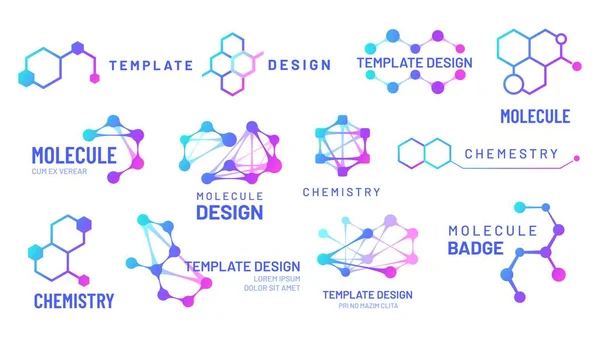 Molecule logos. Chemistry and science logotype with hexagonal structure and molecular grids templates — Stock Vector