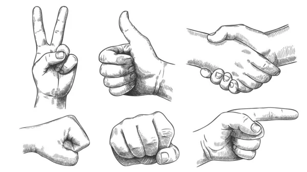 Kézzel rajzolt gesztusok. Mutató ujj, erős ököl és ütés. Kézfogás, hüvelykujj fel, mint és diadal győzelem gesztus vázlat vektor illusztráció készlet — Stock Vector
