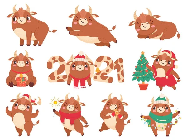 Симпатичный бык. Цветные быки китайский новый год 2021 символ, животные с рогами, коровы и семейство буйволов для календаря или карты, набор векторов мультфильмов — стоковый вектор
