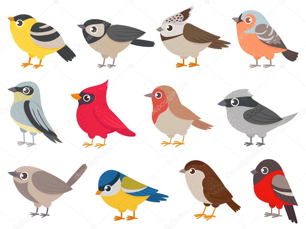 Cute birds. Hand drawn little colorful birds, animals characters for print card, garden decoration. Elements for childish poster vector set