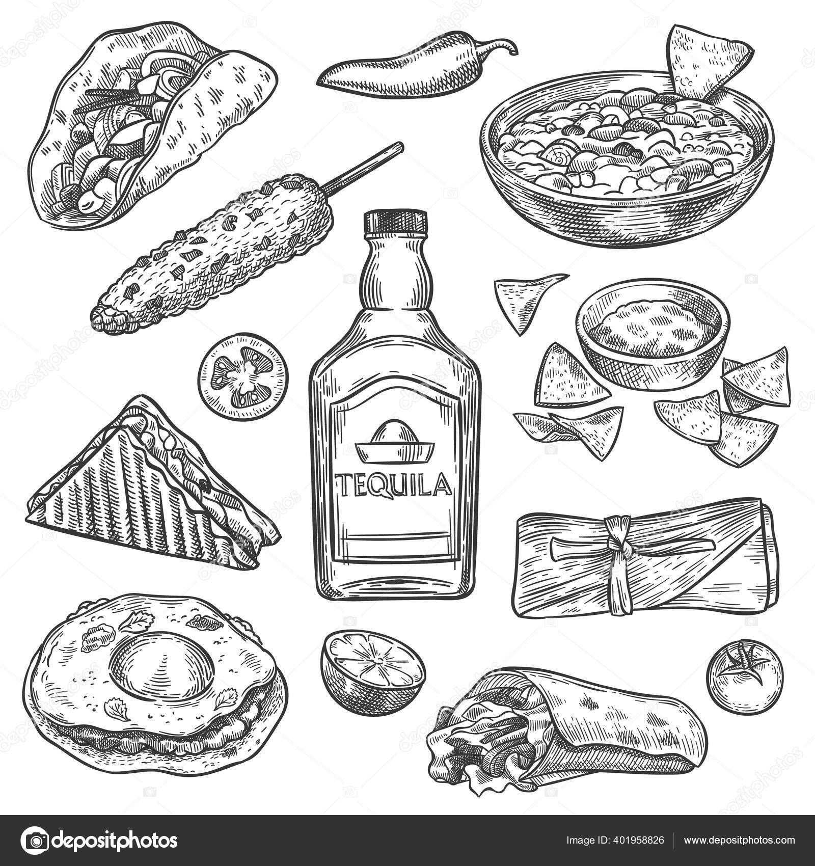 Mexican food. Sketch mexican national drink tequila and traditional