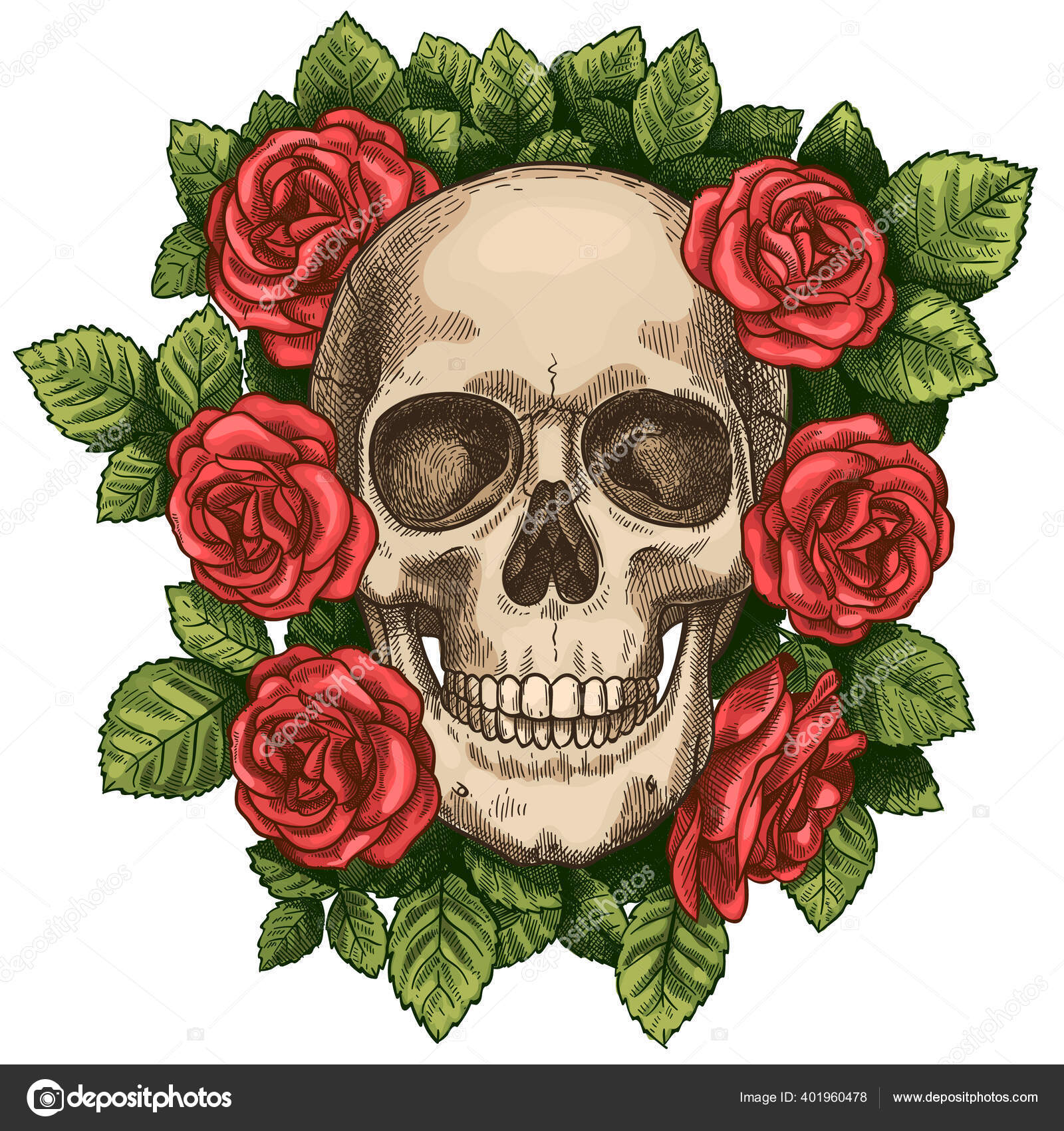 해골과 장미. 죽은 해골 머리와 빨간 꽃, 손으로 그린 고딕 문신 그래픽. 고전적 인 무서운 할로윈 데스 스케치 벡터 기호 스톡 벡터  - ©tartila.stock.gmail.com 401960478, image size:1600x1700