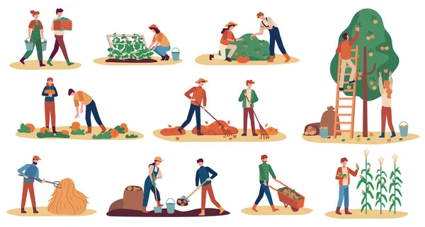 Cosecha de otoño. Campesinos recolectando vegetales maduros, recolectando frutas y bayas, quitando hojas, vectores agrícolas de temporada — Vector de stock