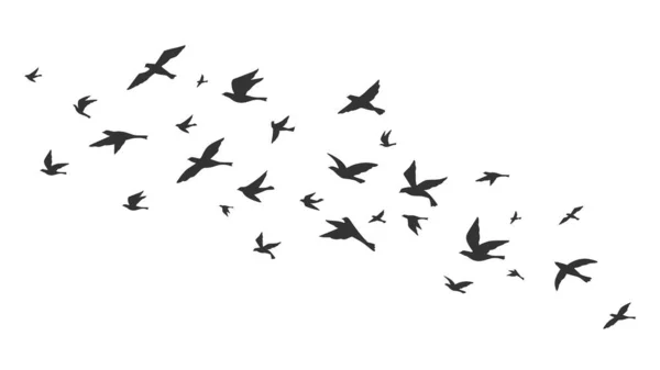 Fliegender Vogel. Freie Vögel scharen sich im Flug um schwarze Silhouetten. Tätowierung Bild, Freiheit Symbol Tierwelt Vektor Illustration — Stockvektor