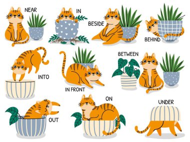 English prepositions. Educational visual material for kids learning language. Cute cat behind, above, near and under flower pot vector set clipart