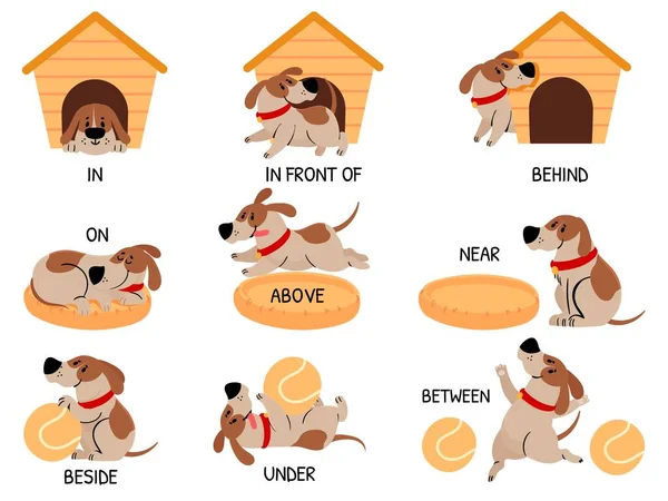 Αγγλικές προθέσεις με χαριτωμένο ζώο. Κινούμενο σκυλί πίσω, πάνω, κοντά και κάτω από το σπίτι του σκύλου, μπολ. Μαθαίνοντας λέξεις παιδιά εκπαίδευση διάνυσμα σύνολο — Διανυσματικό Αρχείο