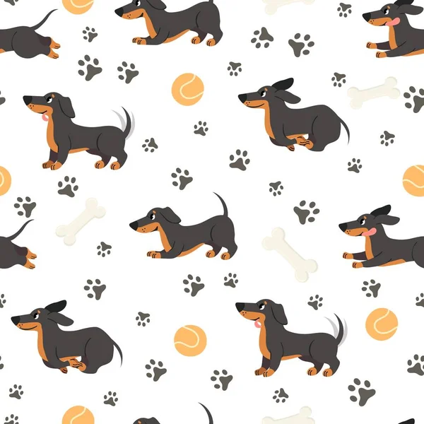 Padrão sem costura Dachshund. Animais de estimação adoráveis, cão engraçado raça longo encorpado, impressão para papel de embrulho, têxteis, papel de parede textura vetorial na moda —  Vetores de Stock