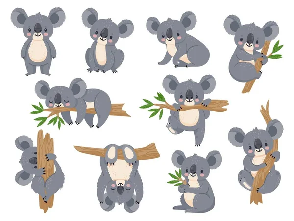 Aranyos rajzfilm koala. Lusta koalák eukaliptusszal. Kis vicces esőerdős állatok. Ausztrál medve alszik trópusi fa vektor készlet — Stock Vector