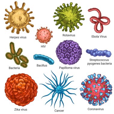 Virüsler. Çizim rengi uçuklar, HIV ve papilloma, zika ve koronavirüs. Kanser, streptokok hücreleri. Mikroplar ve bakteriler izole edilmiş vektör