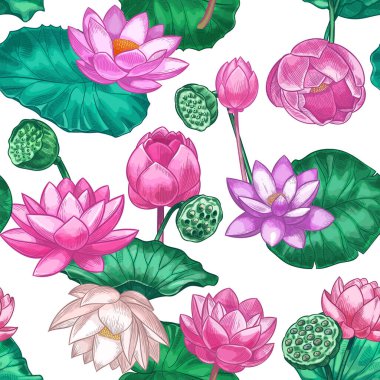 Pembe lotus pürüzsüz desen. Nilüfer çiçekleri, pembe nilüfer çiçekleri. Ayurveda ürünleri vektör dokusu için dekoratif tropikal tasarım