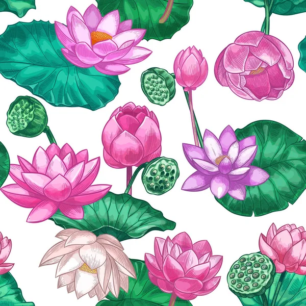 Roze lotus naadloos patroon. Zachte waterlelie bloemen, roze lotus. Decoratief tropisch ontwerp voor ayurveda verzorgingsproducten vector textuur — Stockvector