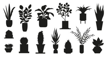 Several black silhouettes of houseplants of different species growing in pots of different shapes, for office or home decoration, creating a modern and stylish look