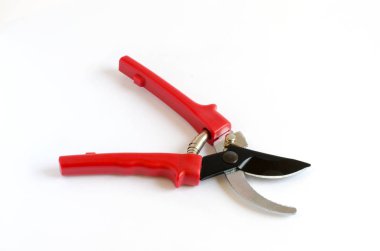 Secateurs beyaz bir arka plan üzerinde. İzole