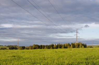 Orman, alan ve elektrik hattı ile manzara. Twilight Saat