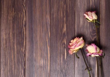 Kuru gül ahşap arka plan üzerinde. Düz top vie