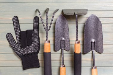 Bahçe aletleri hafif ahşap arka plan üzerinde. Düz top vie