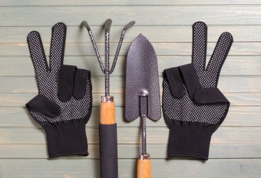 Bahçe aletleri hafif ahşap arka plan üzerinde. Düz top vie