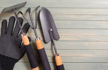 Bahçe aletleri hafif ahşap arka plan üzerinde. Düz üst görünümü. Tex için alan