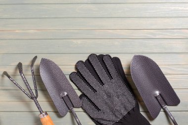 Bahçe aletleri hafif ahşap arka plan üzerinde. Düz üst görünümü. Tex için alan