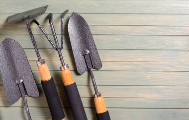 Bahçe aletleri hafif ahşap arka plan üzerinde. Düz üst görünümü. Tex için alan