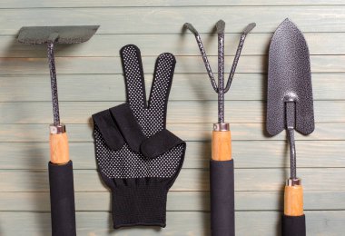 Bahçe aletleri hafif ahşap arka plan üzerinde. Düz top vie