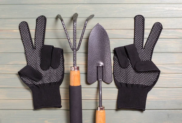 Bahçe aletleri hafif ahşap arka plan üzerinde. Düz top vie