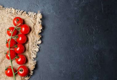 Yeşil bir dalda olgun kırmızı domates. Vitamin açısından zengin sebzeler. Karanlık arka plan. Düz yatıyordu. Kopyalama alanı