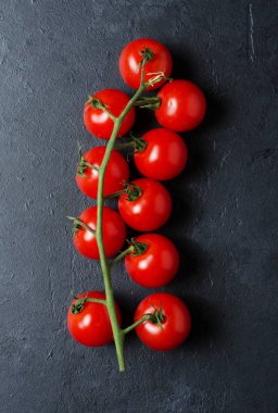 Yeşil bir dalda olgun kırmızı domates. Vitamin açısından zengin sebzeler. Karanlık arka plan. Düz yatıyordu