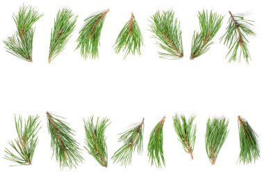 Beyaz arka planda Noel kompozisyonu. Düz konum, üst görünüm, kopyalama alanı.