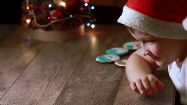 Lindo Niño Con Una Sonrisa Astuta Come Pan Jengibre Navidad — Vídeos de Stock