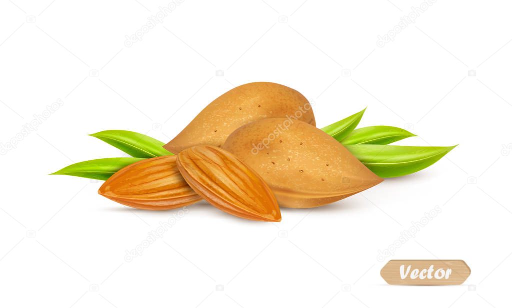 Almonds with kernels and leaves