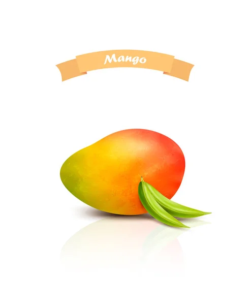 Mango isoliert auf weißem Hintergrund. Vektor. — Stockvektor