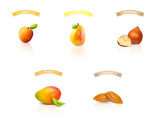 Fruit and nuts: apricot,pear,hazelnut,mango,almond — Stock Vector