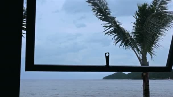 Fenêtre Avec Brise Mer Souffle Les Cocotiers Avant Pleuve — Video