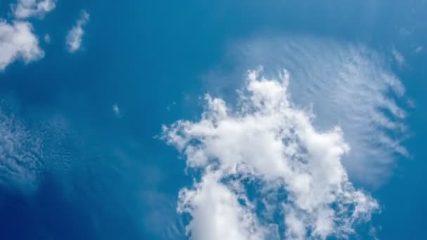 Timelapse Nube Cielo Azul Como Fondo — Vídeo de stock